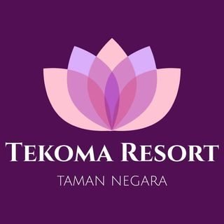 tekoma resort in taman negara and cameron highland